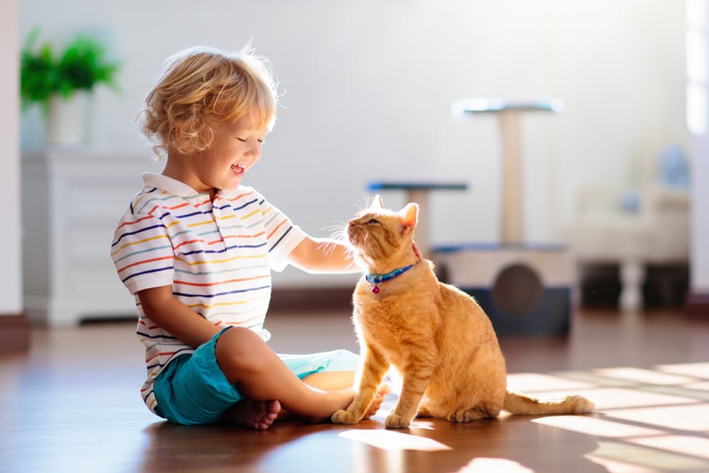 daf0-44bd-ac3a-0ec9e971b753-cats-and-kids-1.jpg